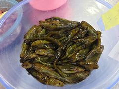 -彭大姐老店黄辣丁(新津店)