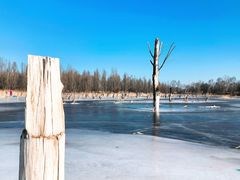 -野鸭湖国家湿地公园