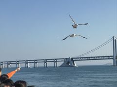 -星海广场