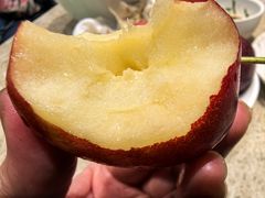 -初色海鲜自助(万丰路店)