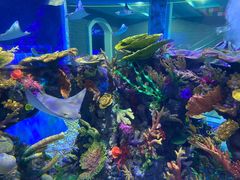 -成都浩海立方海洋公园