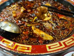 -烧哥美蛙肥肠鱼火锅·十五年社区店
