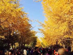 -辽宁大学(崇山校区)