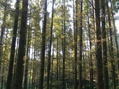 android_upload_pic-上海怡沁园度假酒店