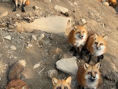 -宁波野生动物园