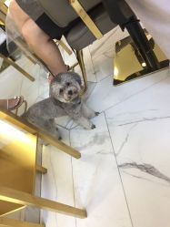 -3AM HAIR SALON染发接发