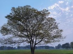 -汉长安城未央宫国家考古遗址公园