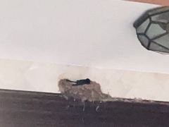 -从前慢海鲜面馆