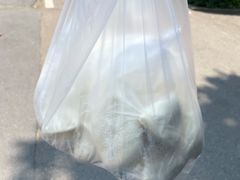-陈公包子(文化西路店)