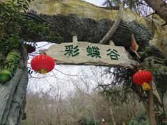-天目湖山水园