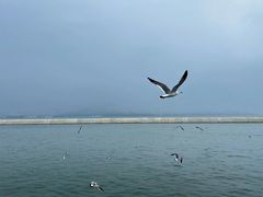-威海国际海水浴场旅游区