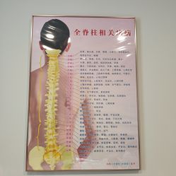 -紫琪尔·胸部养护护理