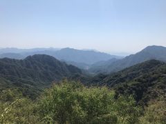 -大岭沟猕猴桃谷风景区