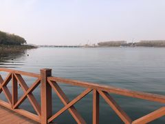 -丁香湖公园