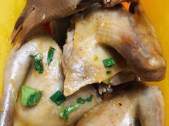 红油乳鸽-百利鸽王(紫薇路店)