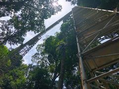 -乌鲁淡布隆国家公园