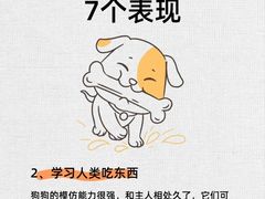 -派联宠物医院·24h·CT·异宠