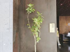 -木守西溪溪隐餐厅