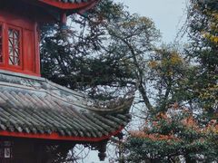 -青城山