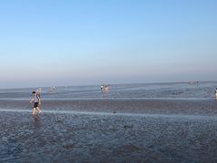 -南汇嘴观海公园