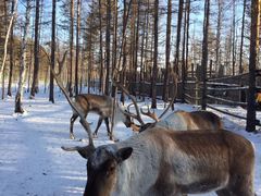-北极村旅游风景区