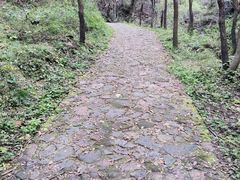 -青龙山风景区
