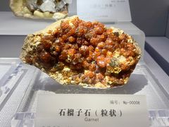 -湖南省地质博物馆