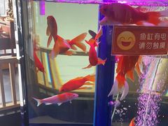 -乐汤汇温泉生活馆