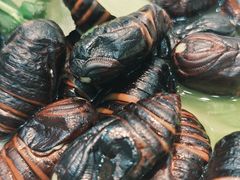 -老兵食堂(景新街店)