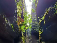 -梭布垭石林景区