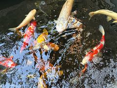 -侠成水上农庄(工业大道店)