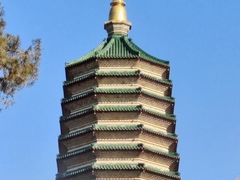 -八大处公园