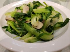 青菜蘑菇-太湖饭店·寄畅轩中餐厅