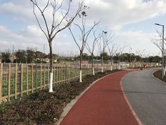 景点-上海长兴岛郊野公园