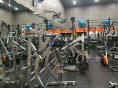 -健身专家Wellness Experts