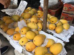 -黄埔古港