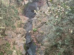 -宁波市保国寺古建筑博物馆