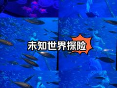-海合安青岛极地海洋公园