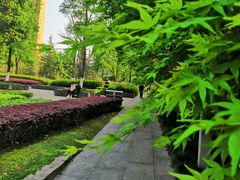 -龙头寺公园