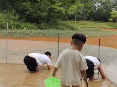 -金谷域澳洲庄园