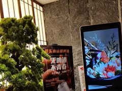 -桃夭日式料理(国信店)