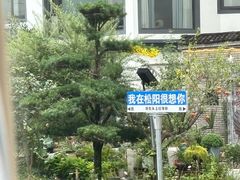 -头上红煨盐鸡·非遗院子餐厅