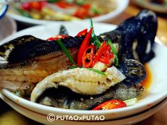 清蒸龙胆-聪辉同安老美食饭店(大元路店)