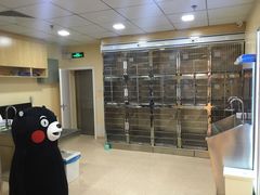 -芭比堂动物医院·24小时·眼科中心(深圳中心)