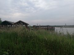 -宁波杭州湾国家湿地公园