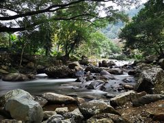 -广州市石门国家森林公园