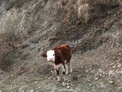 -硗碛藏寨·神木垒景区