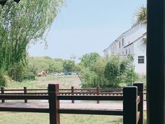 -锦江中华村农家乐饭庄