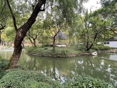 -上海醉白池公园