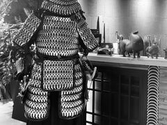 -轻武堂传统射箭·功夫茶·射击体验馆(仁和新城店)